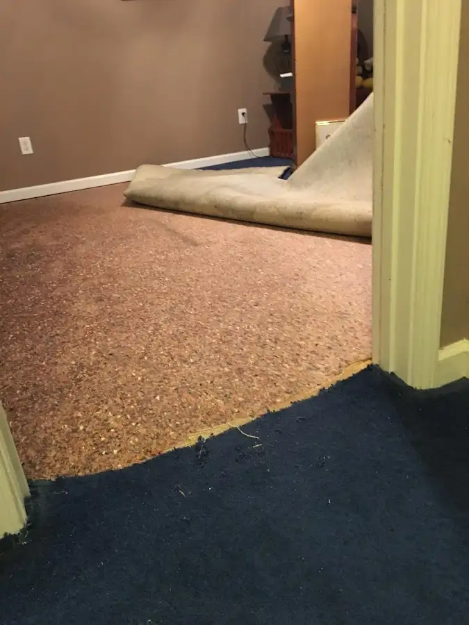Carpet pad removal revealing water damage during Drying & Dehumidification in Bedford