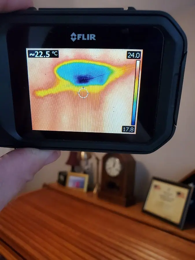 Thermal imaging inspection for water damage in Bedford