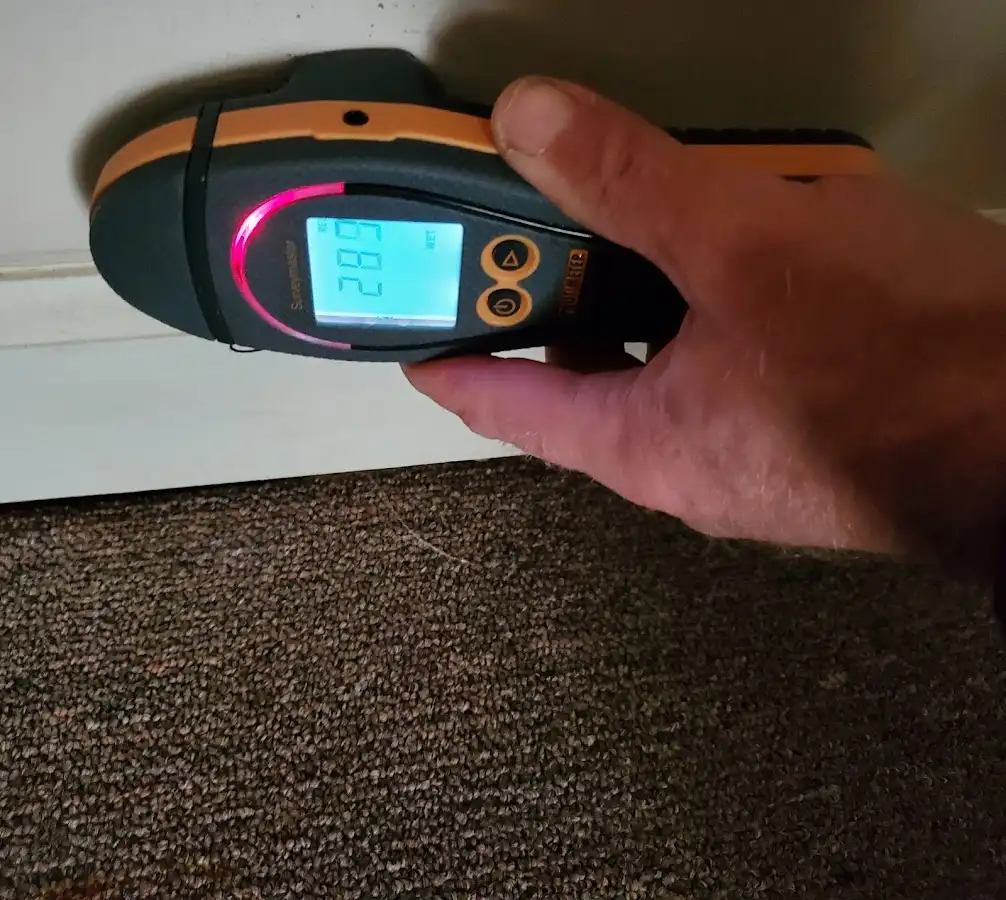 Moisture detection at baseboard during Sewage Cleanup & Sanitation in Bedford